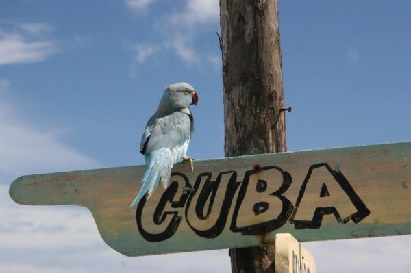 Горячий Новый год по Кубинским традициям. Куба с вылетом из Алматы.