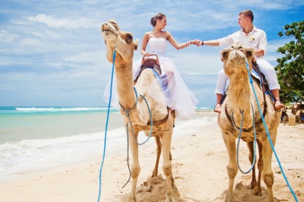 Египет! Проведи день влюбленных в Grand Rotana Sharm 5* !