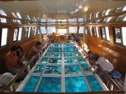 Мальдивы, экскурсия - Лодка со стеклянным дном