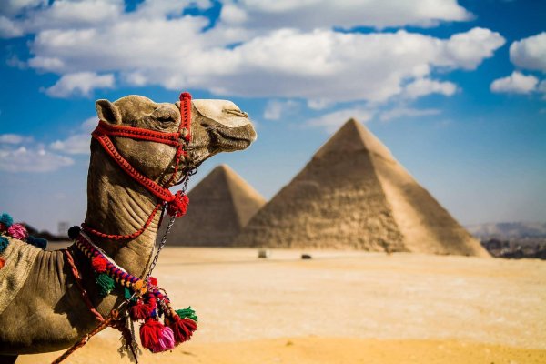 Отели 5* в Египте, горящие туры на 11 дней!