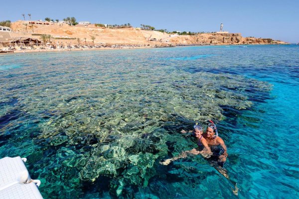 Отель с лучшим коралловым рифом в Египте!