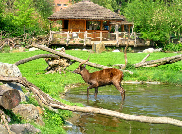 Water_world_2,_Zoo_Prague