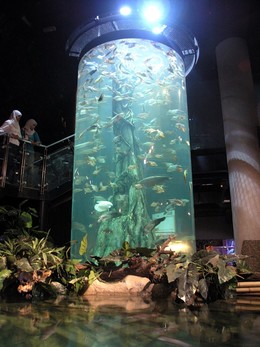 Зоопарк и аквариум