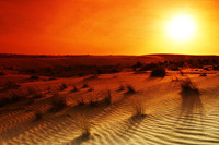 Пустынное сафари